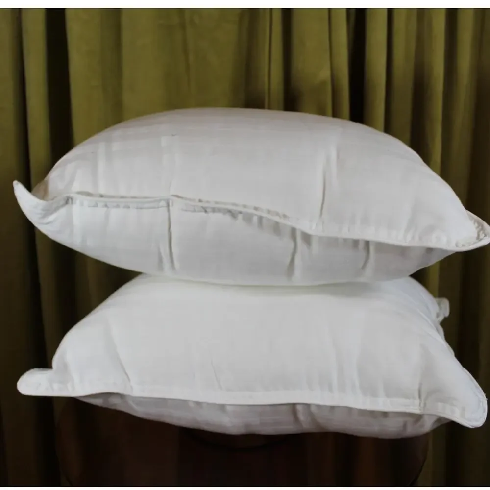 Two New Toddler Pillows 14x11